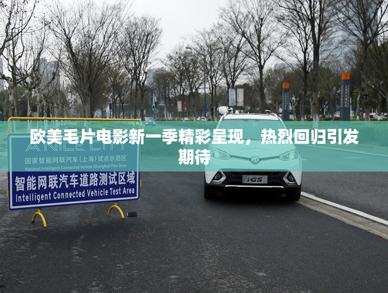 欧美毛片电影新一季精彩呈现，热烈回归引发期待