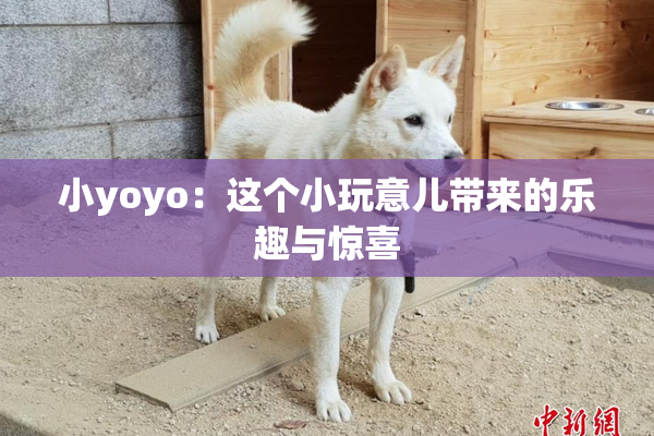 小yoyo：这个小玩意儿带来的乐趣与惊喜