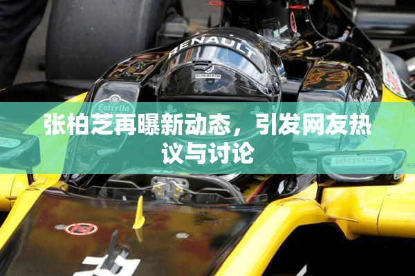 张柏芝再曝新动态，引发网友热议与讨论