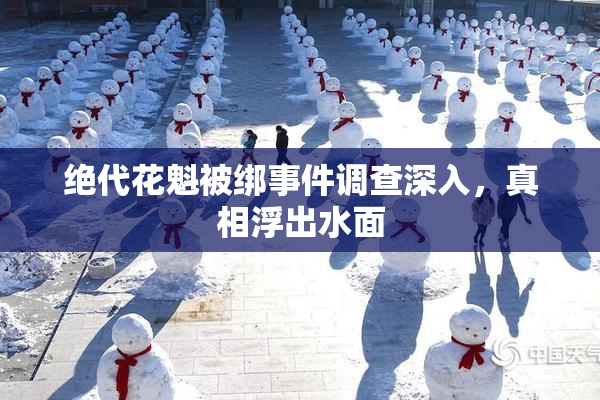 绝代花魁被绑事件调查深入，真相浮出水面