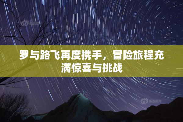 罗与路飞再度携手，冒险旅程充满惊喜与挑战