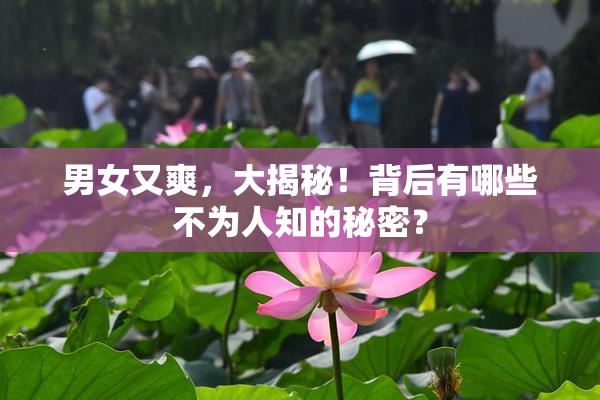 男女又爽，大揭秘！背后有哪些不为人知的秘密？