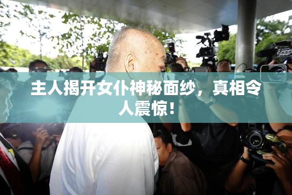 主人揭开女仆神秘面纱，真相令人震惊！