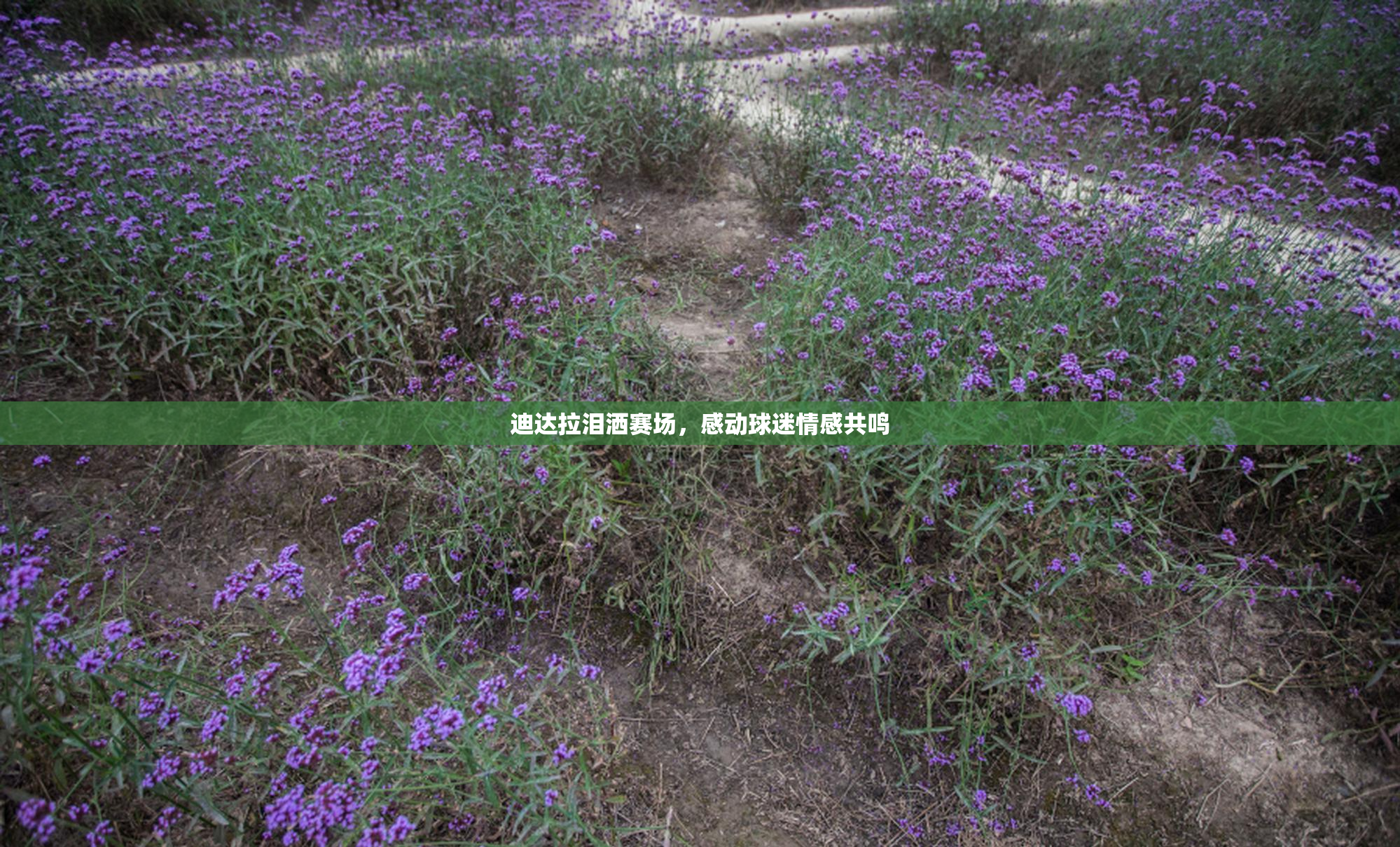 迪达拉泪洒赛场，感动球迷情感共鸣