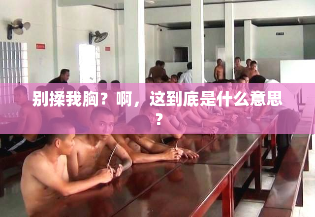 别揉我胸？啊，这到底是什么意思？