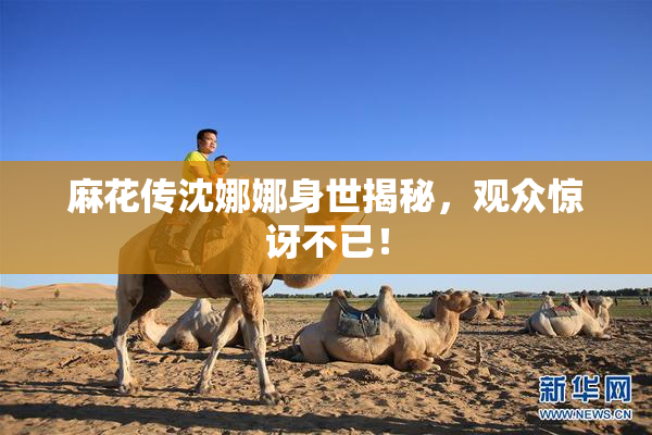 麻花传沈娜娜身世揭秘，观众惊讶不已！