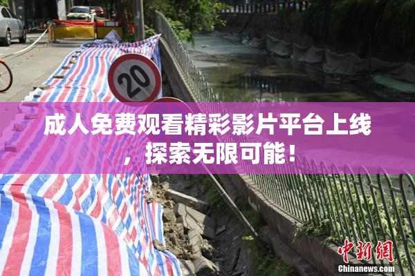 成人免费观看精彩影片平台上线，探索无限可能！