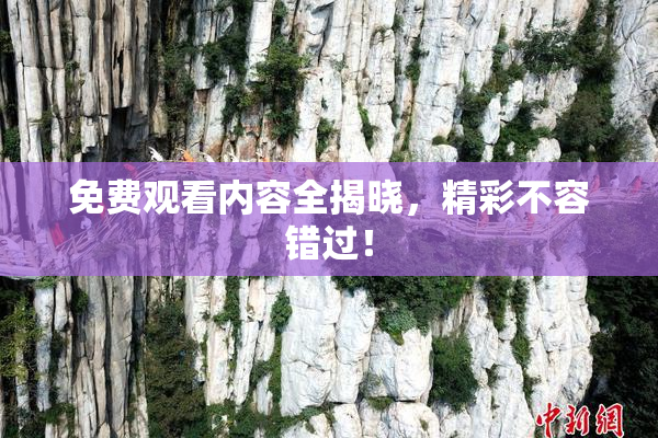 免费观看内容全揭晓，精彩不容错过！