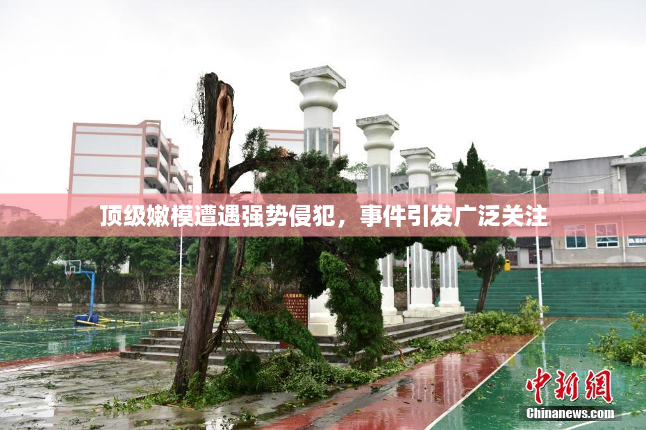 顶级嫩模遭遇强势侵犯，事件引发广泛关注