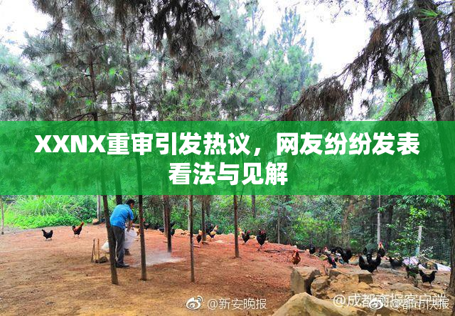 XXNX重审引发热议，网友纷纷发表看法与见解