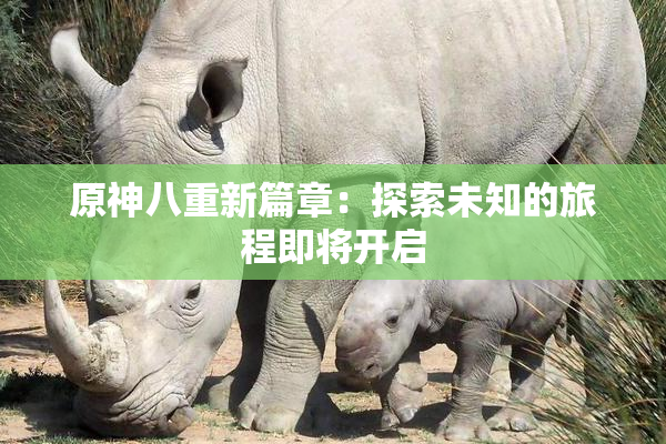 原神八重新篇章：探索未知的旅程即将开启