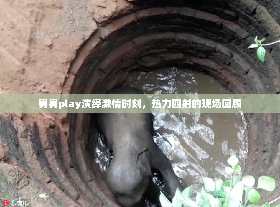 男男play演绎激情时刻，热力四射的现场回顾