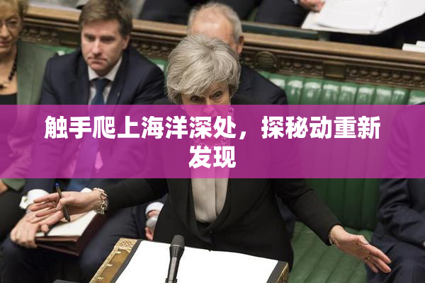 触手爬上海洋深处，探秘动重新发现