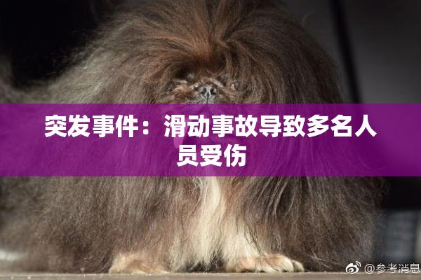 突发事件：滑动事故导致多名人员受伤