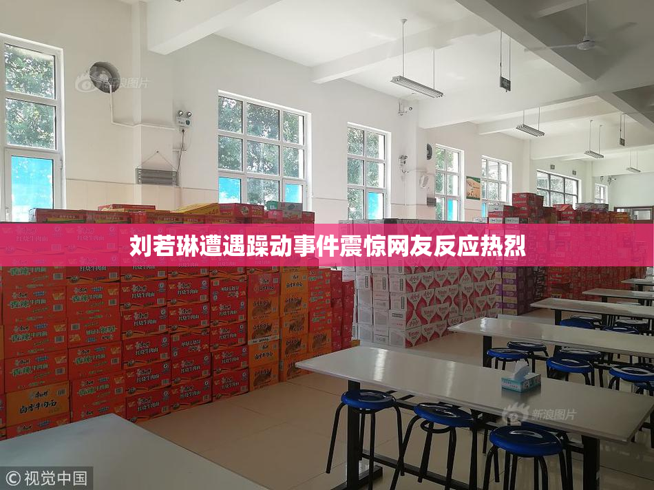 刘若琳遭遇躁动事件震惊网友反应热烈