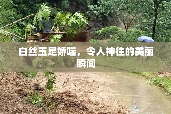 白丝玉足娇喘，令人神往的美丽瞬间