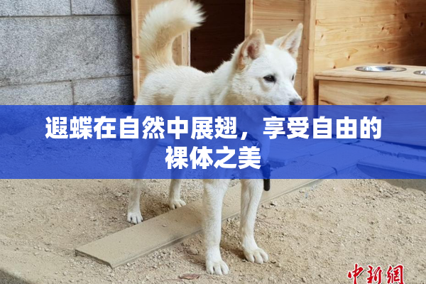 遐蝶在自然中展翅，享受自由的裸体之美