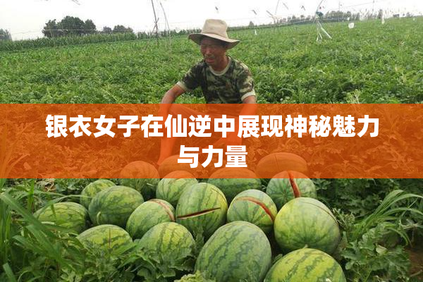 银衣女子在仙逆中展现神秘魅力与力量
