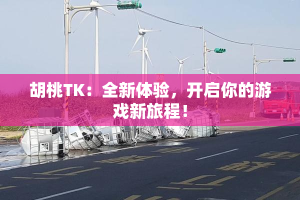 胡桃TK：全新体验，开启你的游戏新旅程！