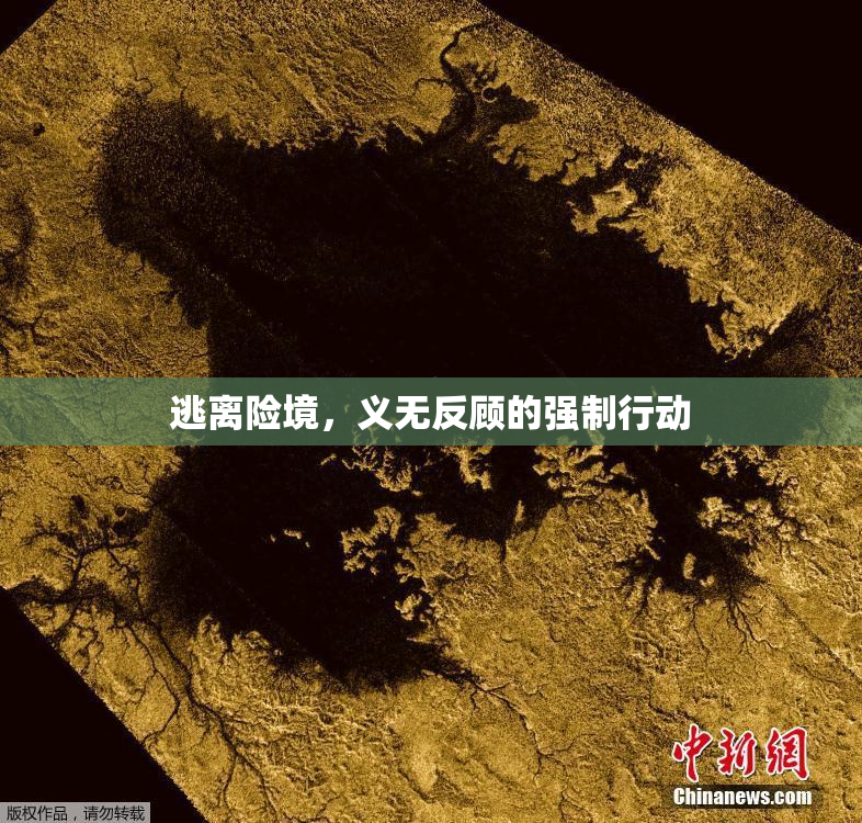 逃离险境，义无反顾的强制行动