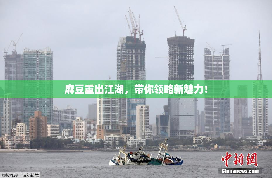 麻豆重出江湖，带你领略新魅力！
