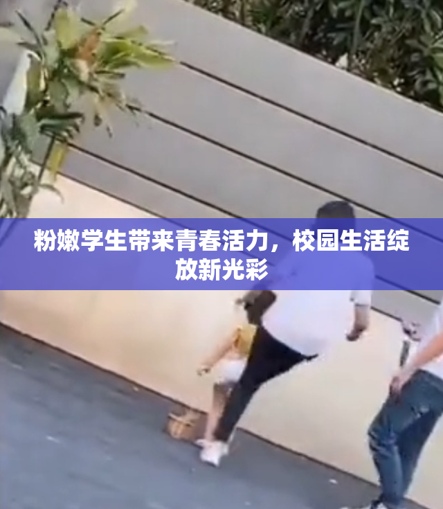 粉嫩学生带来青春活力，校园生活绽放新光彩