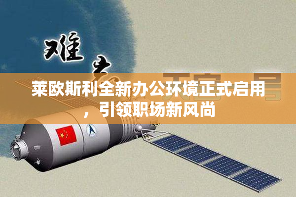 莱欧斯利全新办公环境正式启用，引领职场新风尚