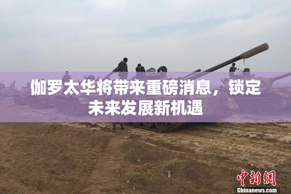 伽罗太华将带来重磅消息，锁定未来发展新机遇