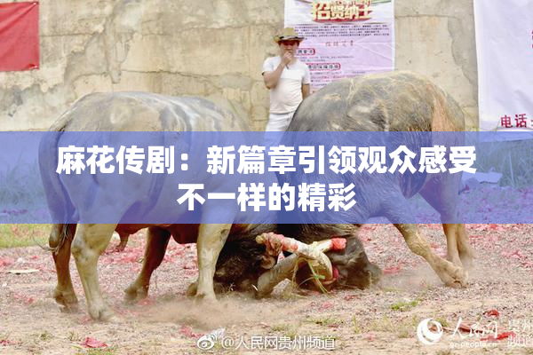 麻花传剧：新篇章引领观众感受不一样的精彩
