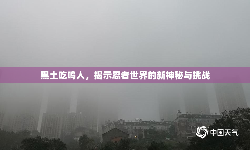 黑土吃鸣人，揭示忍者世界的新神秘与挑战