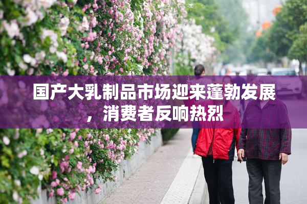 国产大乳制品市场迎来蓬勃发展，消费者反响热烈