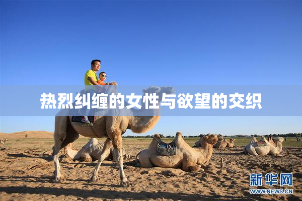 热烈纠缠的女性与欲望的交织