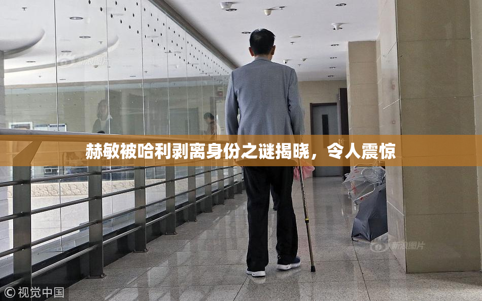 赫敏被哈利剥离身份之谜揭晓，令人震惊