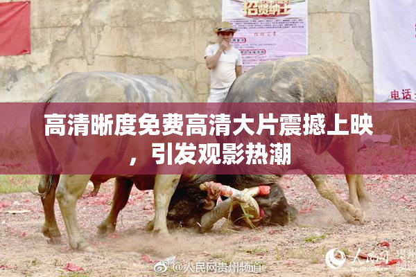高清晰度免费高清大片震撼上映，引发观影热潮