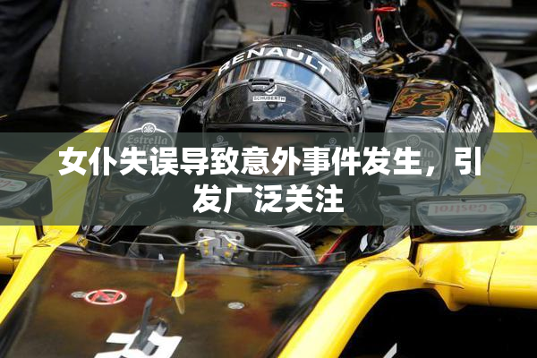 女仆失误导致意外事件发生，引发广泛关注