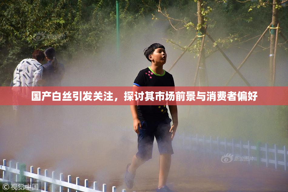 国产白丝引发关注，探讨其市场前景与消费者偏好
