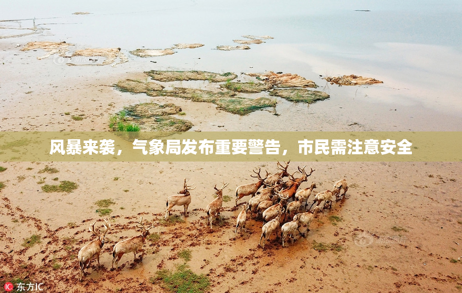 风暴来袭，气象局发布重要警告，市民需注意安全