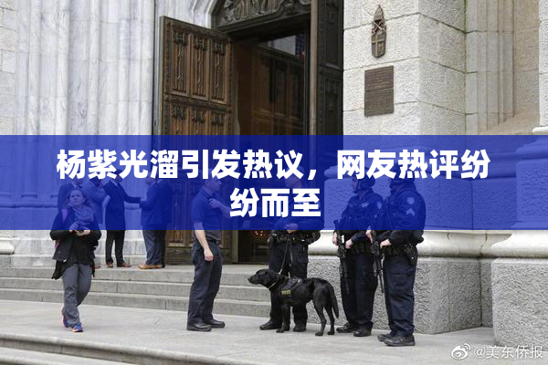 杨紫光溜引发热议，网友热评纷纷而至