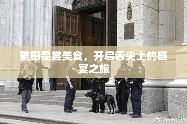雏田品尝美食，开启舌尖上的盛宴之旅