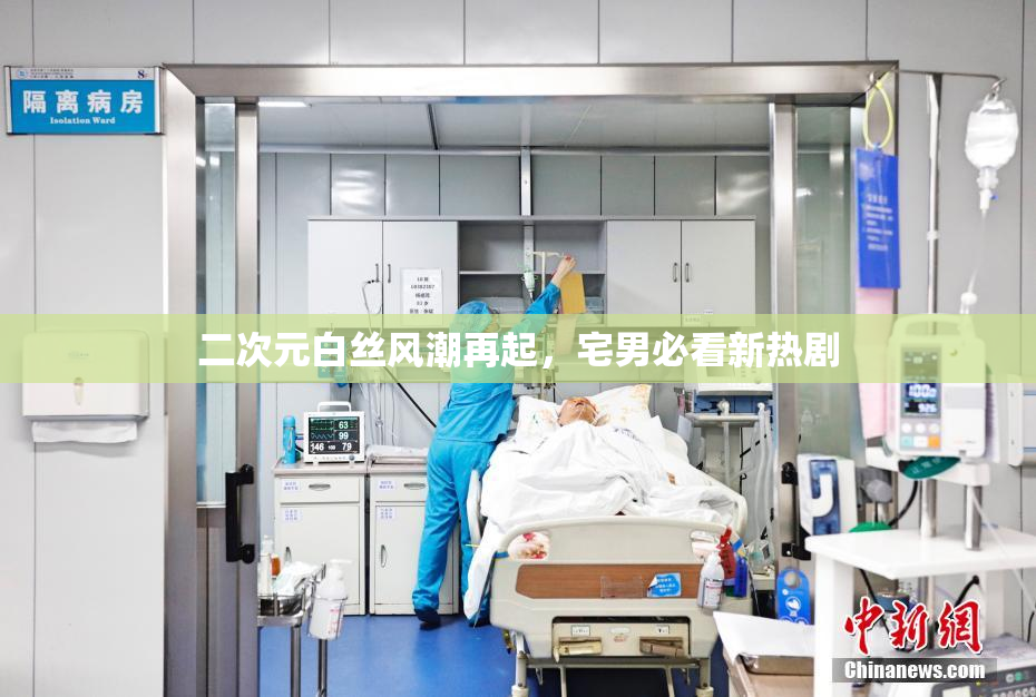二次元白丝风潮再起，宅男必看新热剧