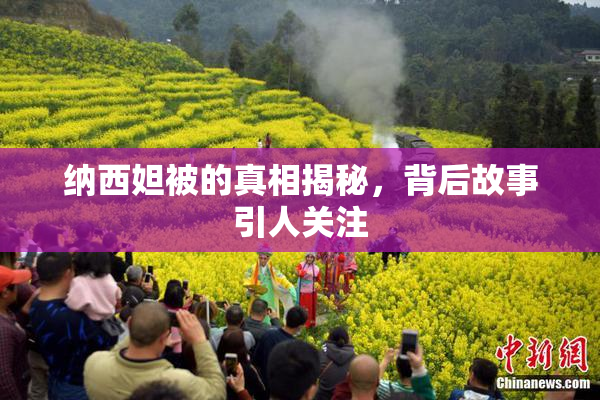 纳西妲被的真相揭秘，背后故事引人关注