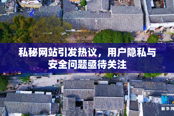 私秘网站引发热议，用户隐私与安全问题亟待关注