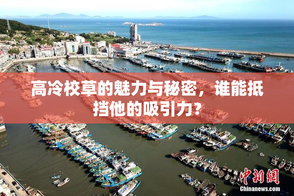 高冷校草的魅力与秘密，谁能抵挡他的吸引力？