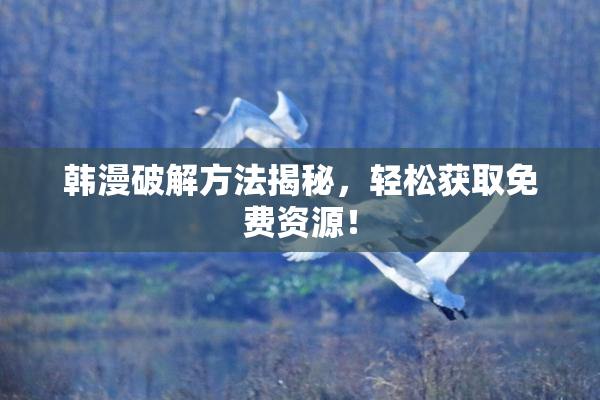 韩漫破解方法揭秘，轻松获取免费资源！
