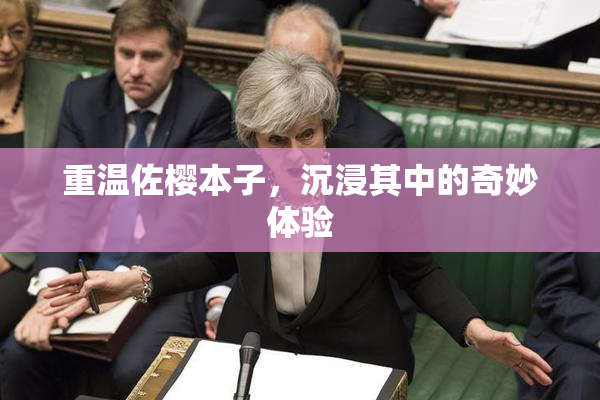 重温佐樱本子，沉浸其中的奇妙体验