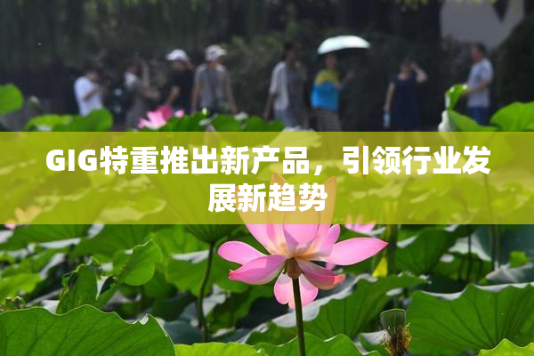 GIG特重推出新产品，引领行业发展新趋势