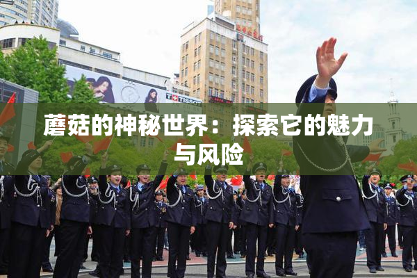 蘑菇的神秘世界：探索它的魅力与风险
