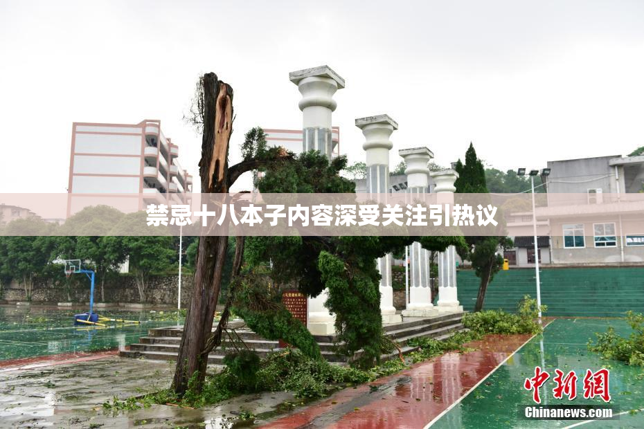 禁忌十八本子内容深受关注引热议