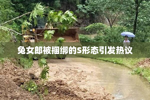 兔女郎被捆绑的S形态引发热议
