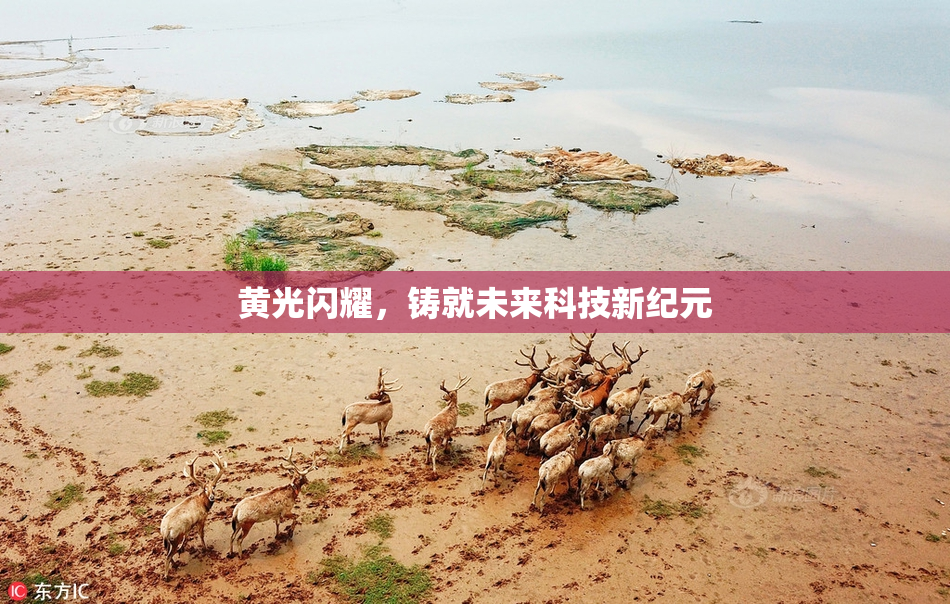 黄光闪耀，铸就未来科技新纪元
